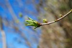 DSC_06950208