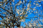 DSC_07120224