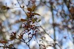 DSC_07160228