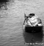 Tai O0011