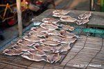 Tai O0041