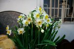 IMG_4168e