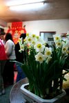 IMG_4169e