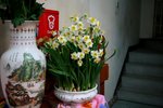 IMG_4171e