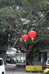 IMG_4236e