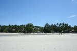 IMG_5393