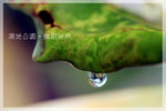 IMG_8404 copy