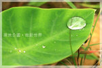 IMG_8431 copy