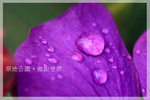 IMG_8444 copy