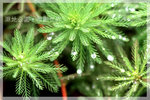 IMG_8457 copy