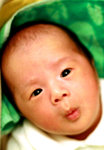 26 jan 08 d