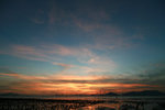 IMG_4361