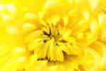 IMG_7086