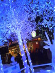 DSC00181