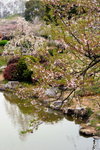 東湖櫻花公園
DSC_1836