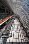 IMG_7984