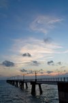 IMG_8477