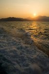 IMG_6484