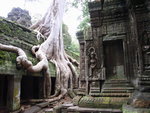 Ta Prohm (塔普倫廟)–有「古老梵音」之稱，亦是「盜墓者羅拉」的拍攝場地