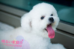 IMG_0013_大小
