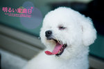 IMG_0014_大小