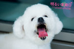 IMG_0017_大小