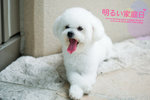 IMG_0025_大小