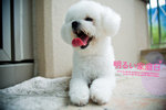 IMG_0027_大小
