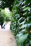 IMG_6787
