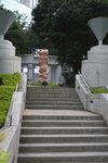 IMG_6798