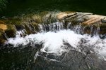 IMG_6804