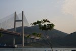 IMG_9028