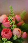 IMG_4437