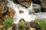 IMG_6249