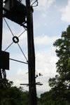 IMG_6281