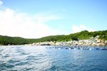 IMG_2563