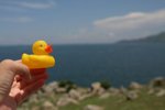 IMG_2283