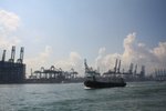IMG_3081