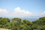 IMG_3310