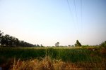 IMG_6385e