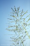 IMG_6387e