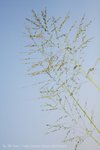 IMG_6388e