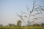 IMG_6389e