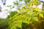 IMG_6442e