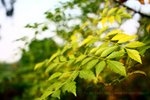 IMG_6443e