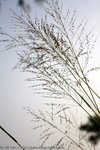 IMG_6444e