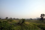 IMG_6454e