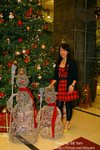 IMG_2411e