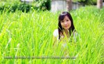 IMG_0625e