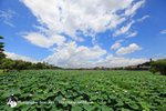 IMG_6900拷貝